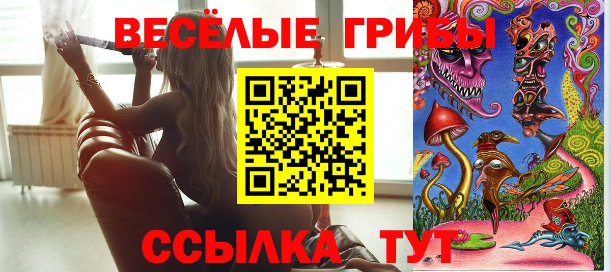 Псилоцибиновые грибы Psilocybine cubensis Рязань