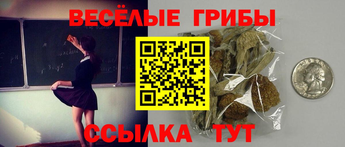 Псилоцибиновые грибы мицелий  Вход с VPN  Рязань  Галлюциногенные грибы Cubensis 